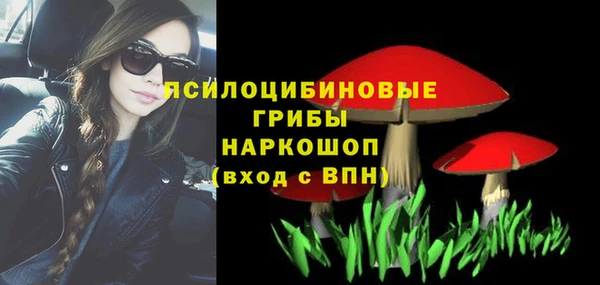 хмурый Аркадак
