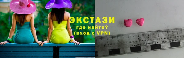 хмурый Аркадак