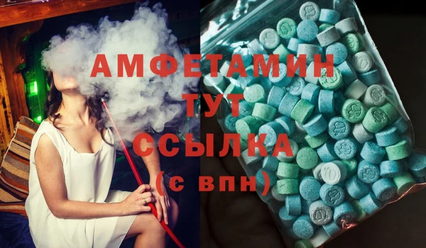 хмурый Аркадак
