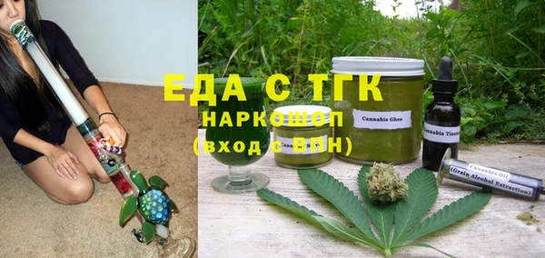 хмурый Аркадак
