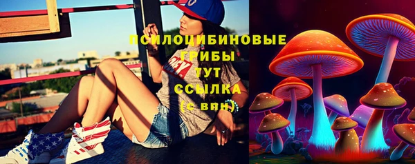 mdpv Арсеньев