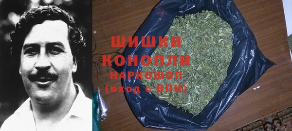 хмурый Аркадак