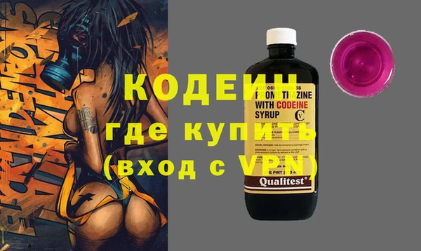 хмурый Аркадак