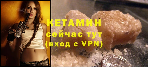 хмурый Аркадак