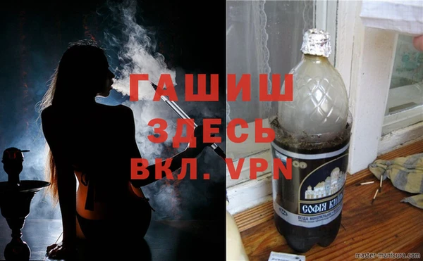 хмурый Аркадак