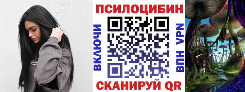 Псилоцибиновые грибы Psilocybe  Купить где  Тында 
